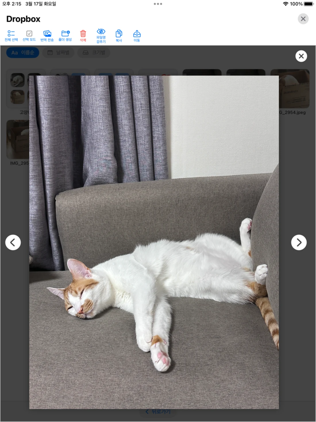 읽고 정리하기